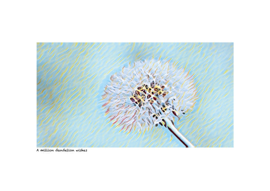 ‘A million dandelion wishes’ limited-edition framed print